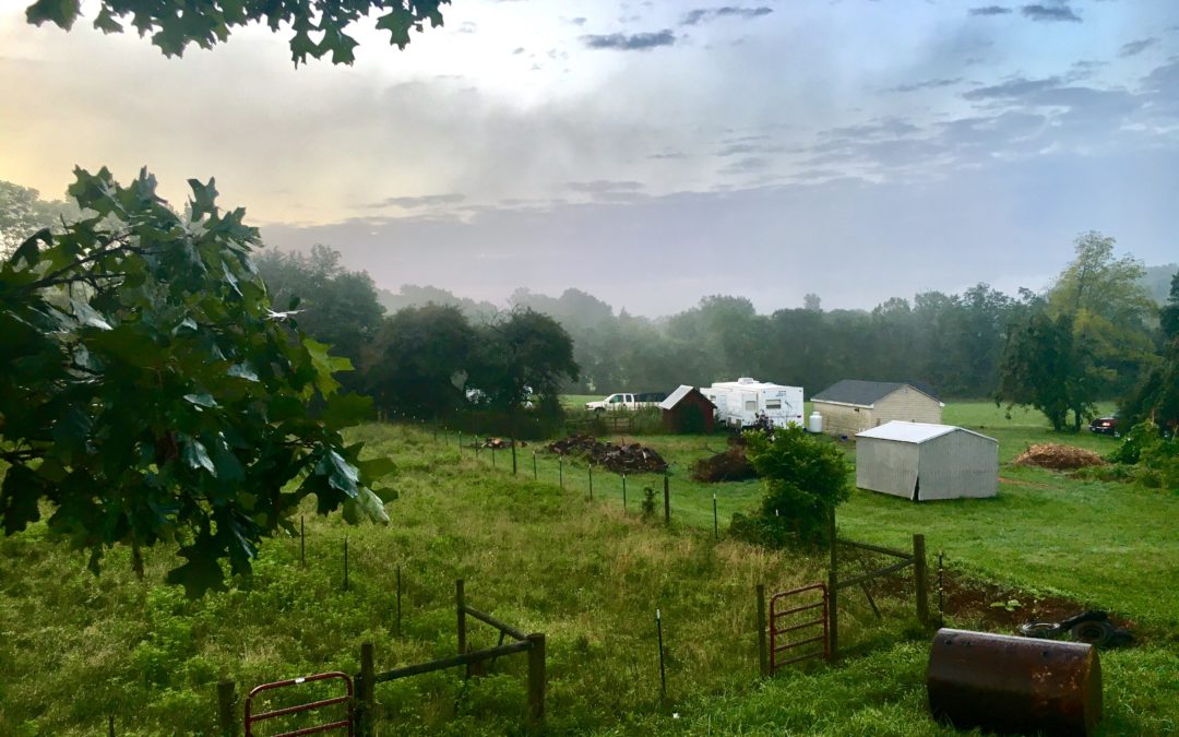 Early Beginnings sunrise on the farm