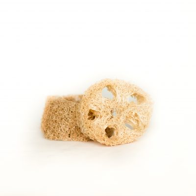 ash&oil homegrown organic dried luffa sponge 1 inch disk harvest 2021