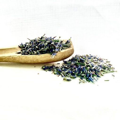 ash&oil 8 oz Dried lavender buds displayed on wooden spoon